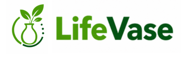 LifeVase.com